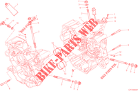 CARTERS MOTOR para Ducati Hypermotard 2015