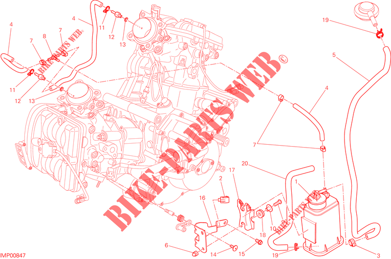 EVAPORATIVE EMISSION SYSTEM (EVAP) para Ducati Hypermotard 2014