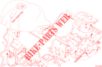 EVAPORATIVE EMISSION SYSTEM (EVAP) para Ducati Monster 1200 S 2016