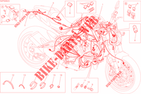 CABELAGEM para Ducati Monster 821 DARK 2015