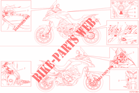 ETIQUETA para Ducati Multistrada 950 S SW 2020