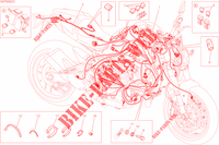 CABELAGEM para Ducati Monster 821 2015