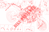 CABELAGEM para Ducati Monster 821 Stripes 2015