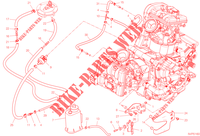 EVAPORATIVE EMISSION SYSTEM (EVAP) para Ducati Multistrada V2 2023
