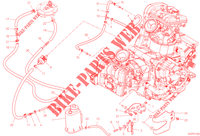 EVAPORATIVE EMISSION SYSTEM (EVAP) para Ducati Multistrada V2 S 2023
