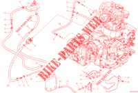 EVAPORATIVE EMISSION SYSTEM (EVAP) para Ducati Multistrada V2 S Travel 2023